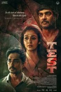 Baixar Desafios Dublado (2025) FLIX MP4