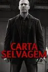 Baixar Carta Selvagem Dublado (2015) FLIX MP4
