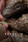 Baixar Pangolim: A Viagem De Kulu Dublado (2025) FLIX MP4