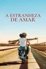 Baixar A Estranheza De Amar Dublado (2023) FLIX MP4