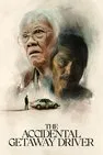 Baixar Fugitivo Por Acidente Dublado (2025) FLIX MP4
