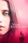 Baixar Vidas Entrelaçadas Dublado (2019) FLIX MP4