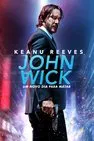 Baixar John Wick Um Novo Dia Para Matar Dublado (2017)