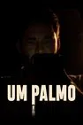 Baixar Um Palmo Nacional (2021) FLIX MP4