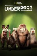 Baixar Underdogs 1ª Temporada Dublado (2025) FLIX MP4
